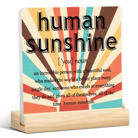 Human Sunshine Gift - Gifts for Coworker, Leader, Teacher, Coach, Mentor - Motivational Gift for Women Men - Human Sunshine Definition Clear Acrylic Desk Sign Decor