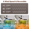 Kinyaras 52" Outdoor Ceiling-Fan with Light: Plug-in Waterproof Hanging Fans,