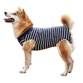 Dotoner Dog Recovery Suit Abdominal Wound Puppy Surgical Clothes Post-Operative Vest Pet After Surgery Wear Substitute E-Collar & Cone(XXXL, Blue Stripe)