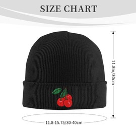 FATTTYCY Black Cherry Beanie Hat Winter Embroidered Knit Cap for Men Women