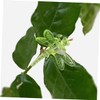BESPORTBLE 70pcs Multi Function Plant Support Clips Durable Plastic Clips