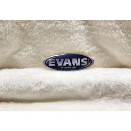 Evans Drumheads Sticker