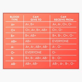MAGNET Blood Type And Compatibility Chart Magnetic Vinyl Sticker Decal Magnet 5"