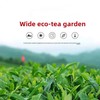 Oolong Tea 8.81oz /250g（30Bags）Phoenix Dancong （Honey Orchid Aroma）Chao Zhou Feng