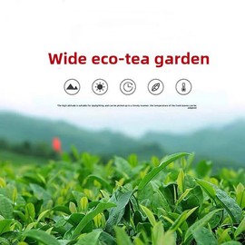 Oolong Tea 8.81oz /250g（30Bags）Phoenix Dancong （Honey Orchid Aroma）Chao Zhou Feng Huang Dan Cong Mi Lan Xiang Loose Leaf 潮州乌岽单枞茶叶 凤凰单丛 (黄枝香)