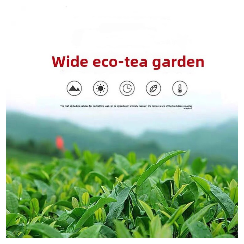 Oolong Tea 8.81oz /250g（30Bags）Phoenix Dancong （Honey Orchid Aroma）Chao Zhou Feng
