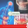 Pharma Glutamine Probiotiques 15g Glutamina Lactobacillus Rhamnosus Grado Clínico Suplemento