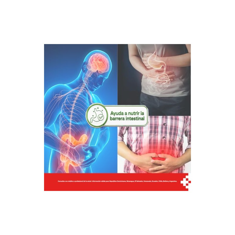 Pharma Glutamine Probiotiques 15g Glutamina Lactobacillus Rhamnosus Grado Clínico Suplemento