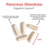 Allergy Research Group Pancreas Pork Supplement - Pancreas Natural Glandular,