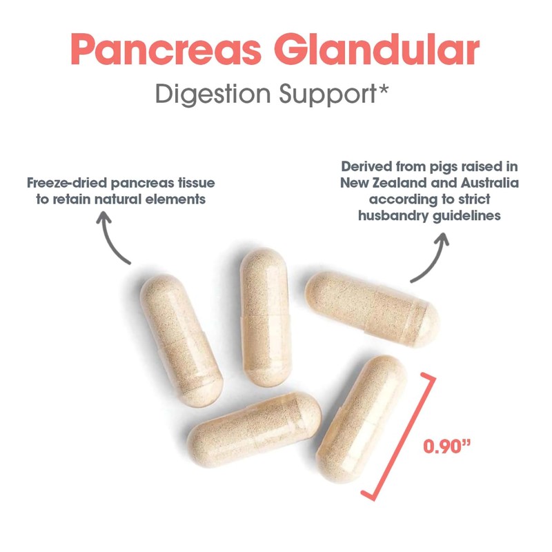 Allergy Research Group Pancreas Pork Supplement - Pancreas Natural Glandular,