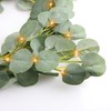 kalynmart Eucalyptus Leaves Greenery Garland with 20 Warm White Led