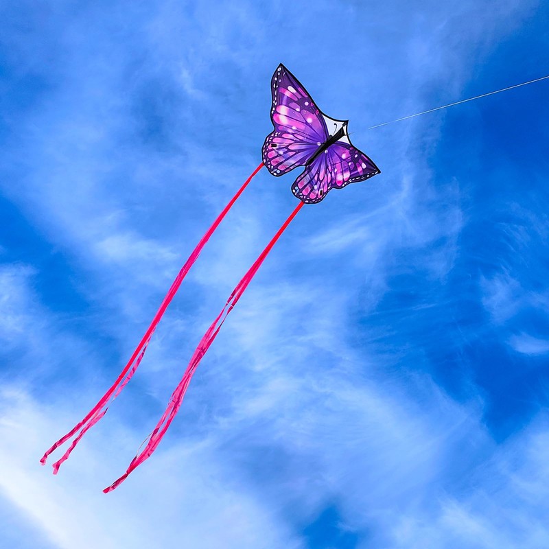 Flying Hoofer Large Butterfly Kite for Adults and Kids Ages