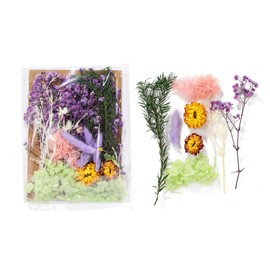 Real Dried Flowers for Crafts, Natural Dry Flowers for Crafts Mixed Natural Pressed Flowers, Small Dried Flowers for Resin Dry Flowers for Candle Making (Purple 1)
