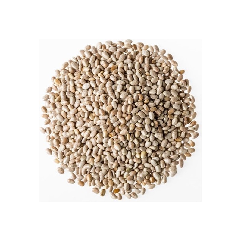 Sun Health White Chia Seeds, 7.1 oz (200 g) x