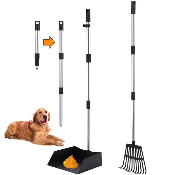 BINGPET Upgraded Dog Pooper Scooper - Metal Pet Poop Rake