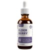 Rejuvica Health Active Elderberry Immune Support Supplement | 4 fl