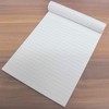 Pack of 2 - Lion Airmail Letter Writing Pad P4TO