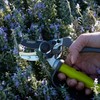 Ergonomic Garden Secateurs (Anvil Style) - Premium Pruning Shears with