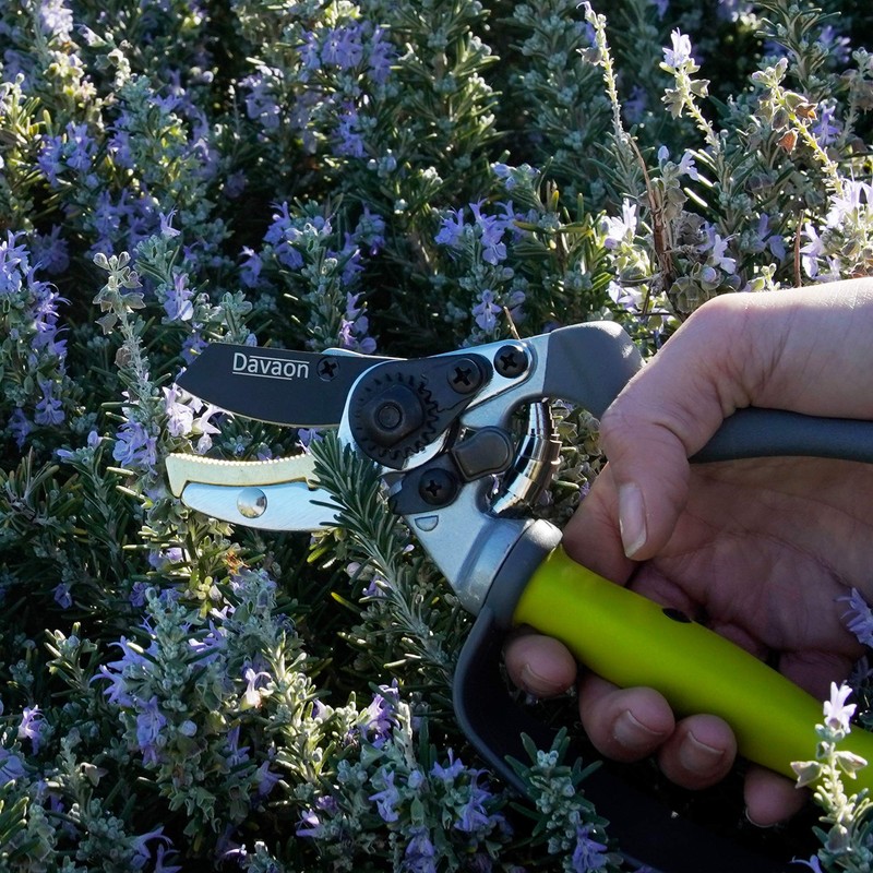Ergonomic Garden Secateurs (Anvil Style) - Premium Pruning Shears with