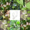 Qgond 220PCS Plant Support Clips, Plastic Garden Clips for Tomato,