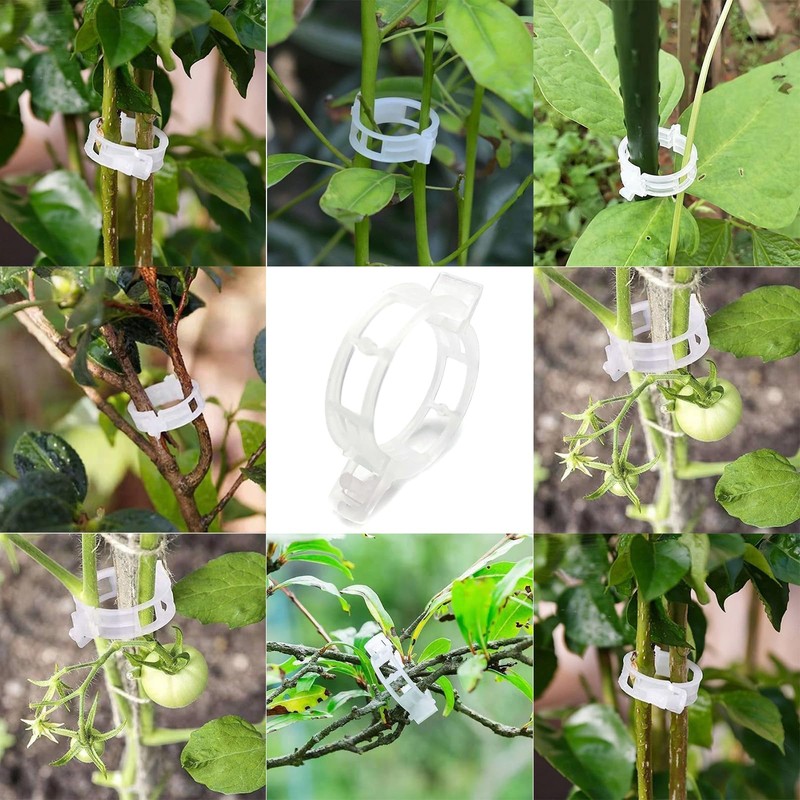 Qgond 220PCS Plant Support Clips, Plastic Garden Clips for Tomato,