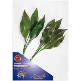A&K Premium Sakaki Preserved (Extra Small Size, 1 Pair, Approx. Height 9.4 x Width 3.0 inches (24 x 7.5 cm), No Water Change Required, Keeps Beauty, Made of Premium Camellia Leaves, Made in Tamba, Shrine Shrine Offerings, Sakaki