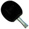 DHS A3002 3 Star Table Tennis Bat
