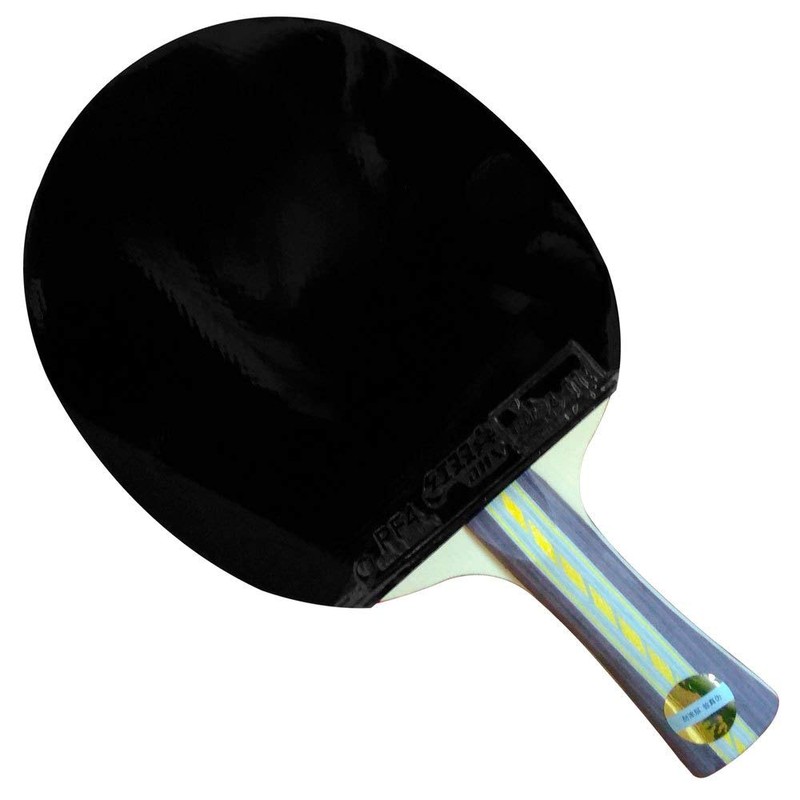 DHS A3002 3 Star Table Tennis Bat