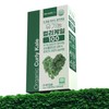 Curly Kale Curly Kale Powder 1+1 / 컬리케일 곱슬케일 분말