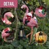 Solar Powered Pink Flamingo Garden Sculpture with Gnomes, Handcrafted Resin
