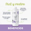 Hidrolato de Lavanda Hebbe: Tónico Facial Natural para Todo Tipo