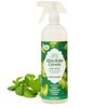 Absolute Green All Purpose Cleaner Spray, Non-Toxic, Kitchen, Bath, Countertop,