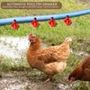 Automatic Chicken Drinkers Waterers Upgraded - 10 Pcs Red Poultry