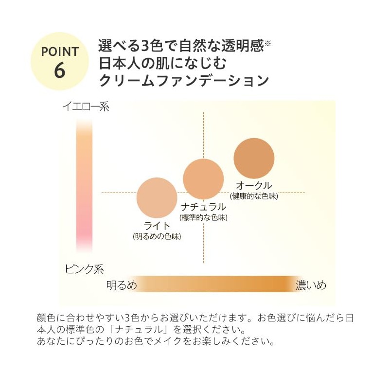 Wieskin Fix Foundation (Case Sold Separately) SPF40/PA+++ 0.4 oz (10