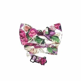 Men's Floral Bow Tie (PRE-TIED) MYTIESHOP Great for Weddings, Elopement, Wedding Shoot, Photography, gifts., Cleo, Medium