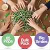 Sour Apple Lollipops – 65 Count Bulk Candy Pack, Individually
