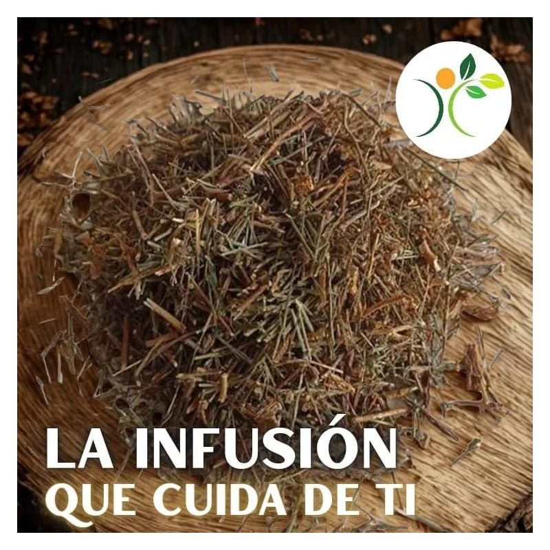 Xenatural - Té TLANCHALAHUA - Infusion Natural Herbal - Excelente