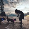 NOVKIN LED Dog Collar, Rechargeable Light Up Dog Collars,IP67 Waterproof