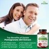 Zazzee Extra Strength Pomegranate 20:1 Extract, 5000 mg Strength, 40%