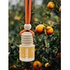 IKEDA Car Air Freshener, Multi- Scent, Hanging Bottle Design with