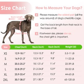 AOFITEE Dog Life Vest for Swimming, High Flotation Dog Life Jacket for Small Dogs, Adjustable Dog Flotation Vest with Rescue Handle, Reflective Dog Swimming Vest Swimsuit for Small Medium Large Dogs