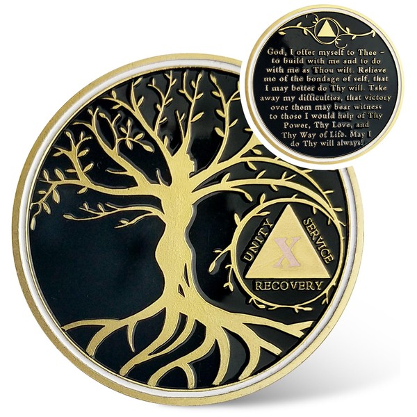 IELCJJ 10 Year Sobriety Coin, Tree of Life AA Chips