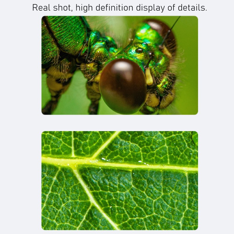 Digital Microscope 2MP 1600X Magnification Handheld USB Microscope Camera for