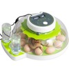 Professional Egg Incubator - Automatic Turning, Precise Temperature & Humidity