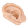 Soft Silicone Ear Model Simulation Ear Acupuncture Practice Model for