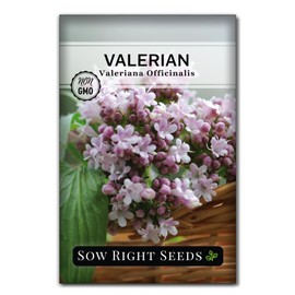 Sow Right Seeds - Valerian Seeds for Planting - Non-GMO Heirloom Packet with Instructions to Plant an Outdoor Herb Garden - Fragrant with Medicinal Benefits - Valerian Root for Sleep & Calm (1)