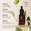 True Botanicals Chebula Active Serum | Anti-Aging Face Serum |