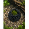 Shrimp Cave 2-Pack, Volcano-Style Shrimp Hides
