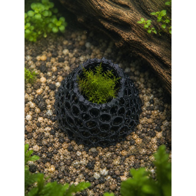 Shrimp Cave 2-Pack, Volcano-Style Shrimp Hides