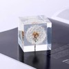 DESHINTKE Cube Dandelion Specimen Paperweight with Wood Box, 2 inch